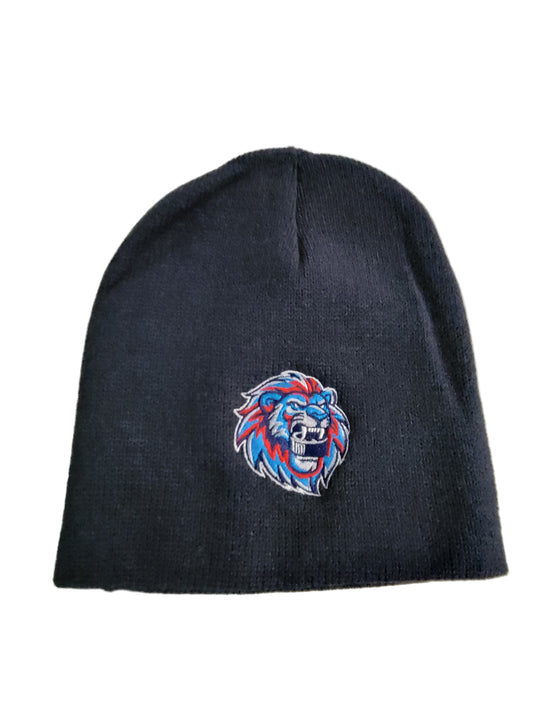 Beanie-Navy