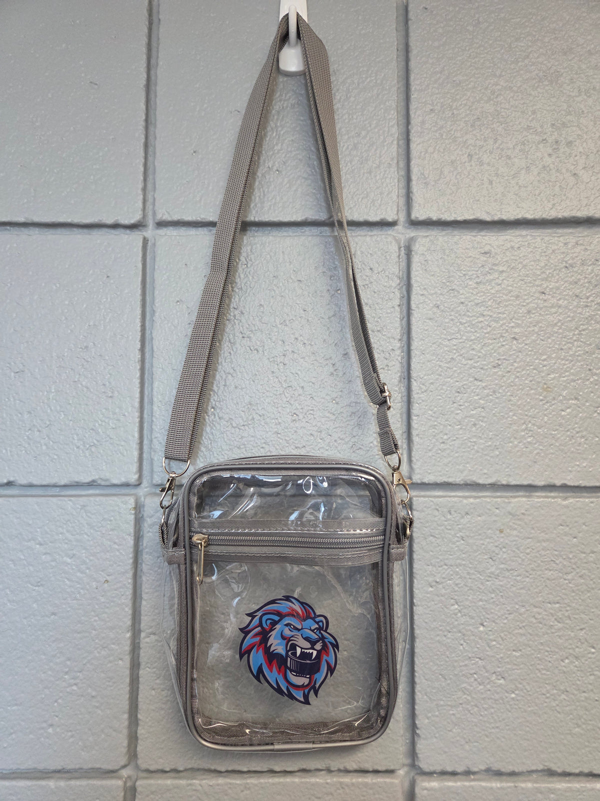 Clear Crossbody Purse