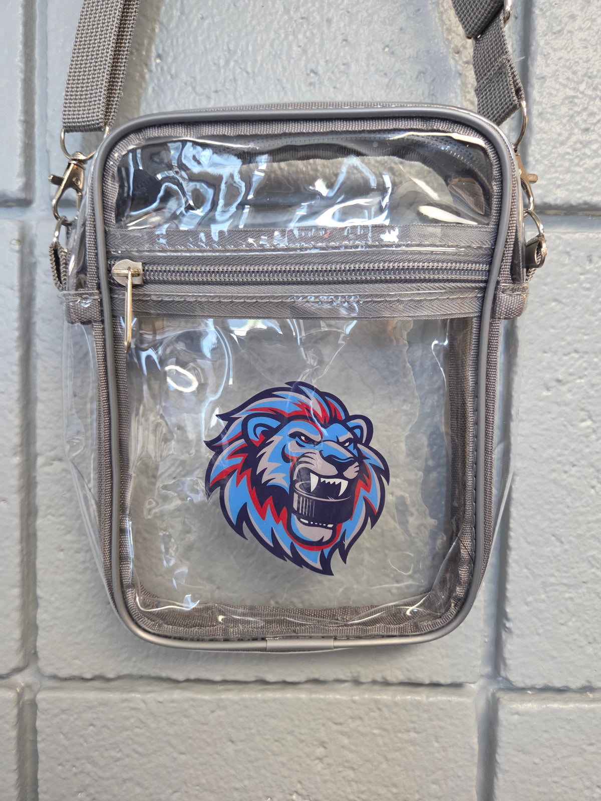 Clear Crossbody Purse
