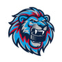 Pee Dee Pro Hockey Merchandise