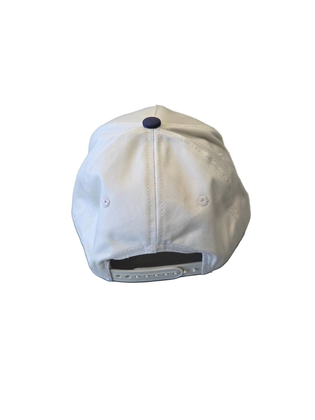 Upside Down IceCats Hat